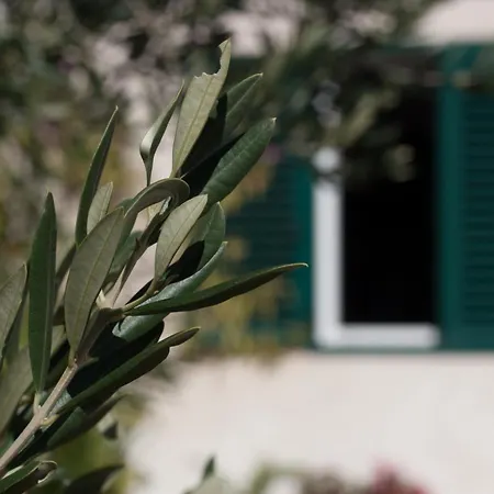 Villa Paladin - Spacious With Pool Near Garden - 7 Min Walk