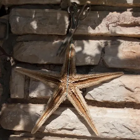 Paladin - Spacious With Pool Near Garden - 7 Min Walk Tisno