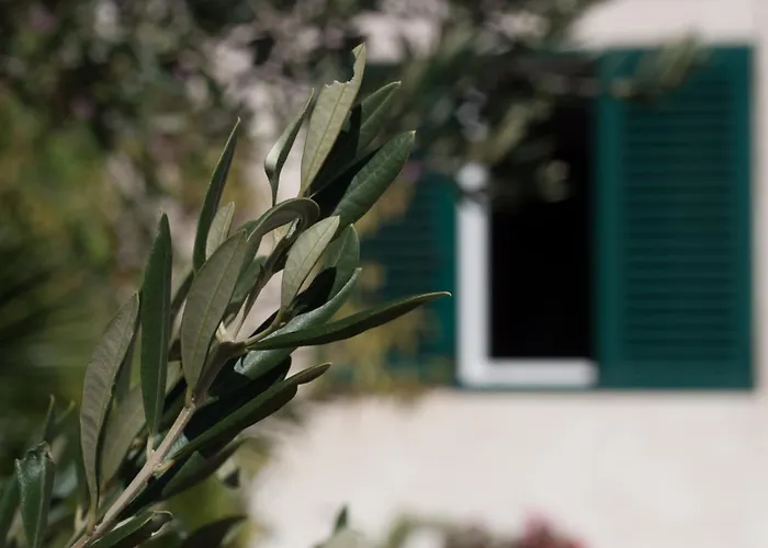 Villa Paladin - Spacious With Pool Near Garden - 7 Min Walk