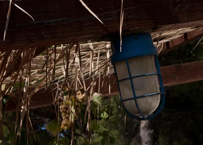 Paladin - Spacious With Pool Near Garden - 7 Min Walk * 티스노