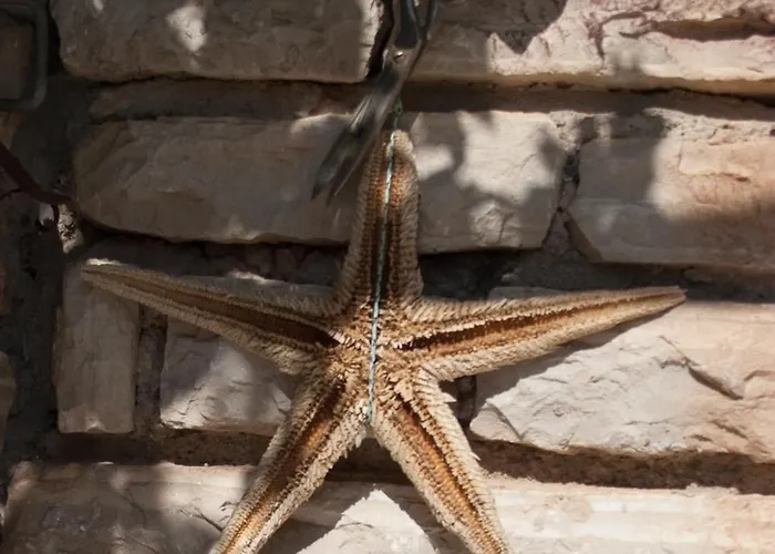 Paladin - Spacious With Pool Near Garden - 7 Min Walk 티스노