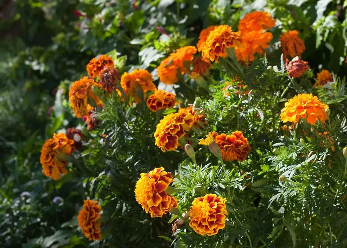 빌라 Paladin - Spacious With Pool Near Garden - 7 Min Walk *